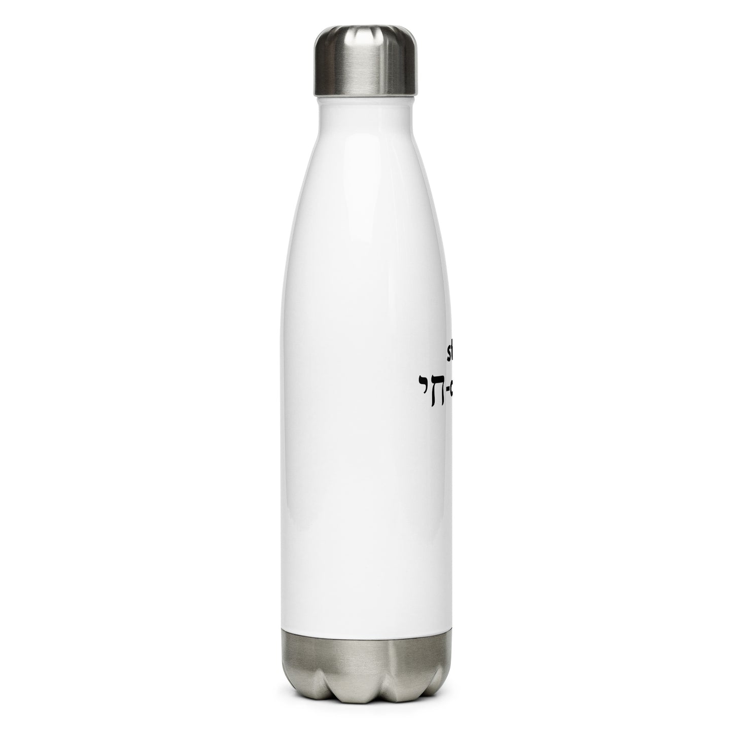 Stainless Steel Water Bottle