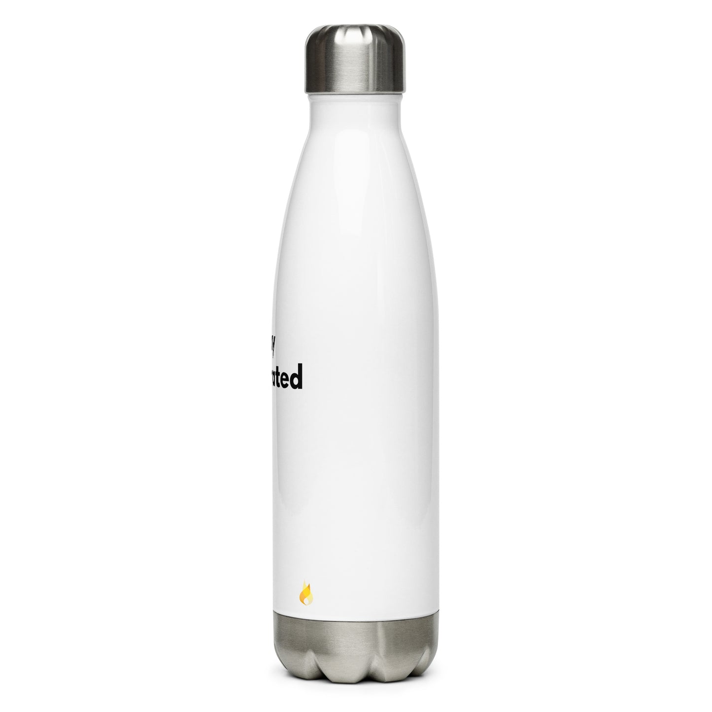 Stainless Steel Water Bottle